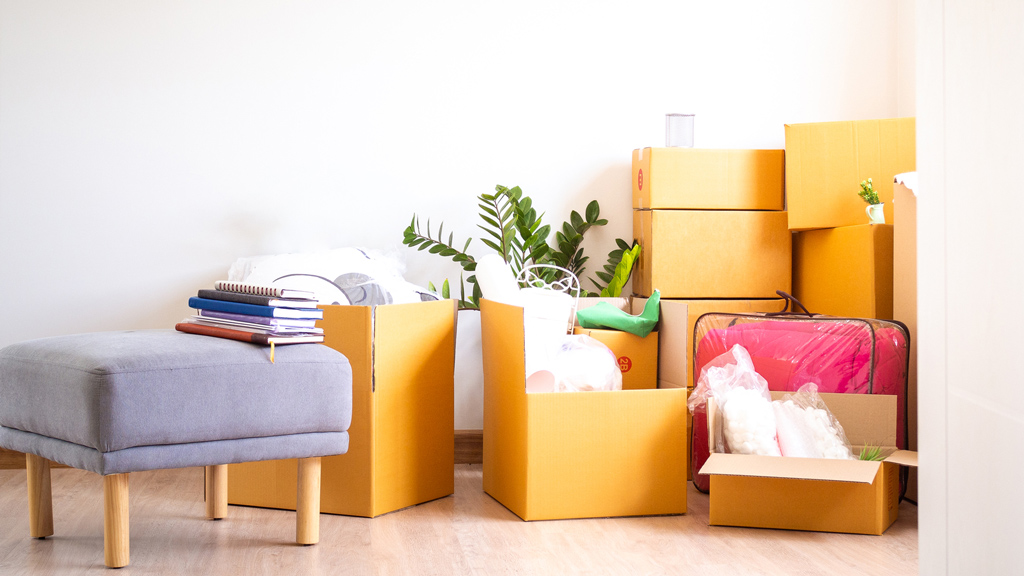 Declutter Smarter – Simple Habits for a Tidier Home