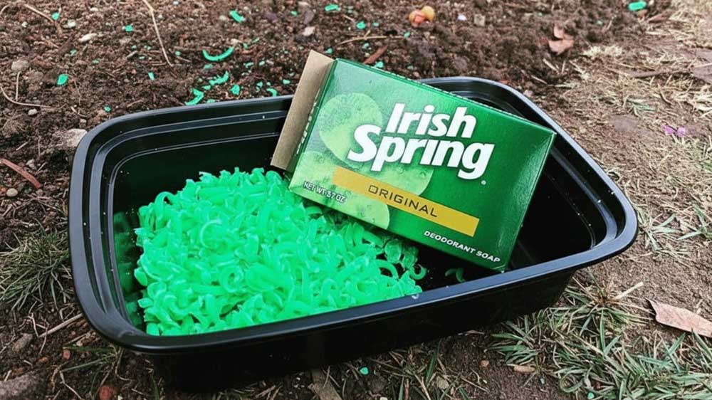 Scatter Soap in Your Yard This Summer — A Smart Pest Hack!