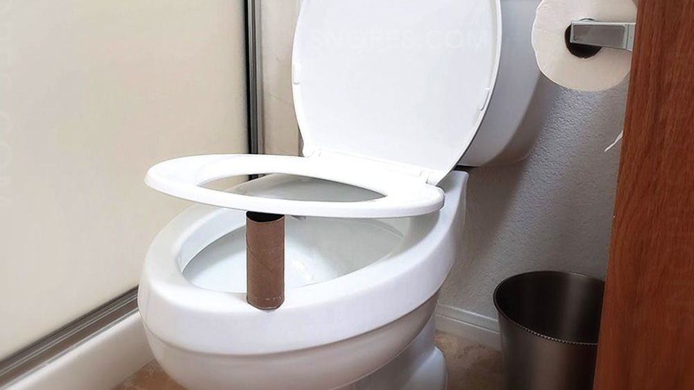 Put a Paper Tube Under Your Toilet Seat — You’ll See Why!
