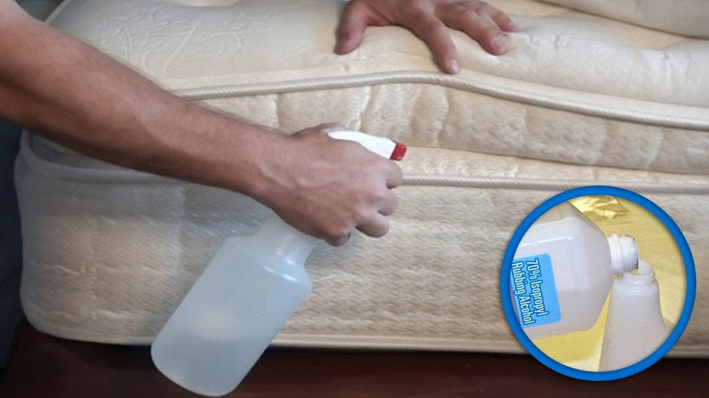 Spray This on Your Bed — A Simple Method People Use Against Bed Bugs!