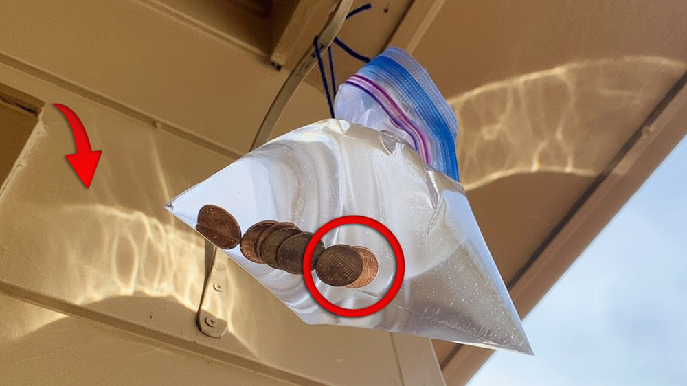 Hang Pennies in a Bag of Water — Here’s Why!