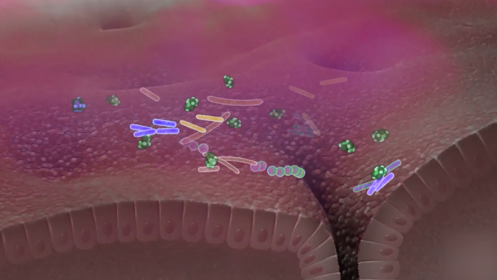 Constipation, Bloating, Heartburn, or Diarrhea? It’s Not Your Fault — Watch This!