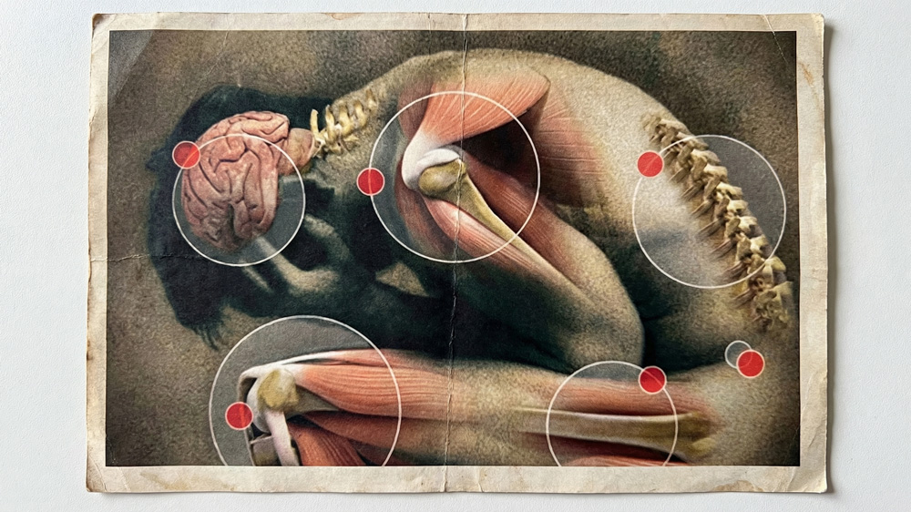 Chiropractors Baffled — A 20-Second “Rub Ritual” Is Changing Everything About Joints & Back Pain!
